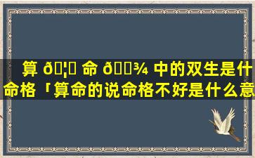 算 🦟 命 🌾 中的双生是什么命格「算命的说命格不好是什么意思」